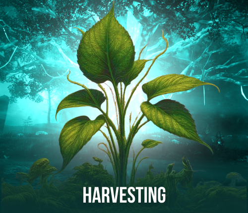 Harvesting Gathering Trade Skills